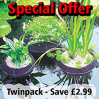 Laguna Floating Pond Planters (25 & 35cm Set)