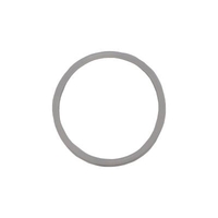 PondXpert Pondolight Lense O-Ring