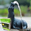 PondXpert Seal Spitter and SunnyPump 250
