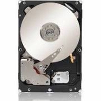 Fujitsu 300GB SAS 6Gb/s 2.5" 10000 rpm Hot-Swap Hard Drive