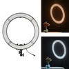 18 Inches Two Color Temperature Ring Light