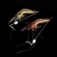 18cm 8g Artificial Fishing Lure Bionic Shrimp Soft Bait Fishing Tackle with Hook Noctilucent Luminous Night Glow Bead Black
