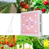 300W 100LEDs 15500LM Plant Growth Light