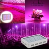 300W AC85-265V 60LEDs 20631LM Full Spectrum Plant Grow Light