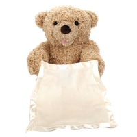 30Cm Peek A Boo Teddy Bear Animated Stuffed Animal Plush