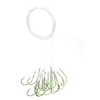 30Pcs 12 / 14 / 16 / 18 Carbon Steel Fluorescent Fishing Hooks Fishing Tackle
