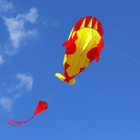 3D Kite Huge Frameless Soft Parafoil Giant Whale Flying Kite