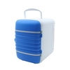 4L Mini Portable Refrigerator 2 in 1 Cooler Warmer Fridge for Car Home Office, Blue