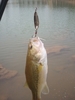 4Pcs 5/7/10/13g Fishing Spoon Lure Sequin Paillette Metal Hard Bait with Feather Hook Tackle Silver