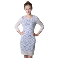 Chic Women Lace Mesh Back Zipper Slim Bodycon Party Evening Mini Pencil Dress