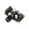 Digital Audio Amplifier Module