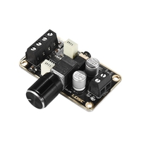 Digital Audio Amplifier Module