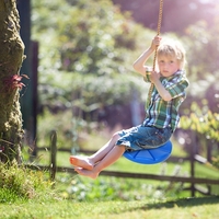 Disc Rope Swing with Plate Seat