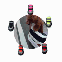 DJJ DS303SA Cool Colorful Pet Dog Shoes Spring and Autumn Style Dog Sports Shoes Leisure Shoes for Poodle Bichon Frise Standard Schnauzer Small-Breed Dogs 4 Pieces/Set