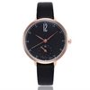 Fashion Casual Watch Precision Scales Quartz Watch Stainless Steel Band for Women