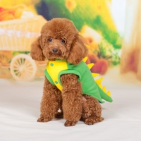 Fashion Cute Dog Clothes Green Dinosaur Dino Style Puppy Coat Pet Jumpsuit Dogs Apparel L/XL/XXL