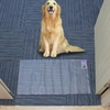 Indoor Electronic Pets Training Mat Pads Shock Scat Safe for Dogs Cats Furniture Protection Waterproof 60 * 12in
