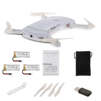 LDIRC RC102 Wifi FPV 0.3MP Camera Altitude Hold Foldable Mini Selfie RC Drone Quadcopte with 2 Extra Batteries