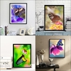 Luxury Diamond Painting Of Butterfly Shiny And Original
