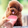 Portable Outdoor Travel Kettle Dog Cat Antibacterial Water Fountain Drink Water Bottle Bowl Dispenser Feeder Cup