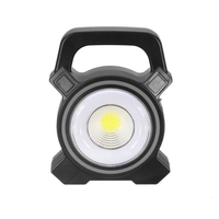 Portable Solar Rechargeable LED Flood Light