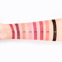 Pudaier Lip Makeup Pigments Waterproof Lipstick Nude Sexy Long Lasting Lip Rouge Moisture Cosmetics