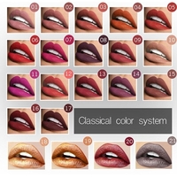 Pudaier Waterproof Nude Matte Lipstick Lip Gloss Lipstick Lip Balm Sexy Lip Tint Makeup Gift