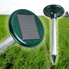 Solar Rodent Repeller