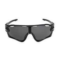Sports Sunglasses Riding Protection Eyewear