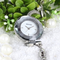 WEIQIN Fashion Luxury Quartz Women Bracelet Watch Simplicity Water-Proof Stainless Steel Ladies Casual Wristwatch Decorative Watch Feminio Relogio