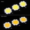White 5W DC5-17V COB LED Bead Chip