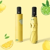 Fruit Graphic Automatic Umbrella Windproof Travel Rain Umbrella Sun Umbrella Portable Folding Small Compact Umbrella