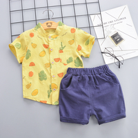 Fruit Print Short-sleeve Shirt and Shorts Set