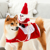 Funny Cat Clothes Riding Outfits