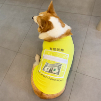 Funny T-shirt for Your Pet