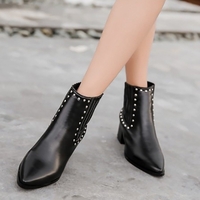 Chunky Heel Daily Pointed Toe Elegant Boots