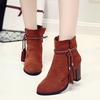 Chunky Heel Daily Tassel Zipper Elegant Boots