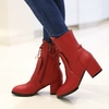 Chunky Heel Lace-up Working Pointed Toe Suede Boots