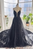 Elegant Deep V-neck Lace A-line Evening Dress Tulle Prom Dress with Spaghetti Straps