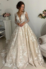 Elegant Lace Appliques V-Neck Wedding Dresses See Through Long Sleeve Open Back Bridal Gowns