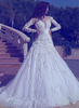 Elegant Long Sleeves Tulle Wedding Dresses 2021 Sexy Sheer Appliques Wedding Dress Online