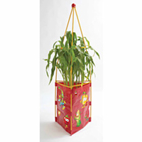 2 x Tri-Gro Kids Planter + Free Seeds