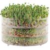 3 Tier Germinator + 2 FREE packets of seed