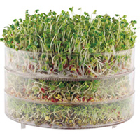 3 Tier Germinator + 2 FREE packets of seed