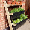 3 Tier Lean-To Ladder Allotment
