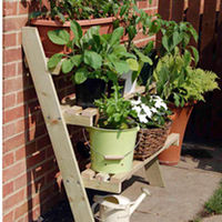 3 Tier Shelved Ladder Allotment