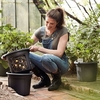 33cm Potato Pot (Buy 3 get a 4th FREE)