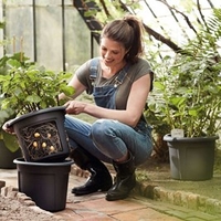 33cm Potato Pot (Buy 3 get a 4th FREE)
