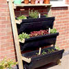 4 Tier Lean-To Ladder Allotment