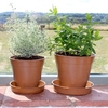 6 Bamboo Pot and Saucer - Terracotta (5 Pack)